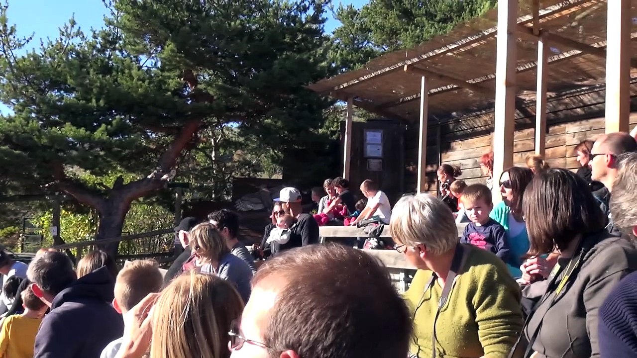 Parc Animalier de Serre Ponçon