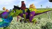 Spiderman Dinosaurs Gorilla Vs Dinosaur Fight 3D Animation Elephant Dinosaurs Cartoons For Children