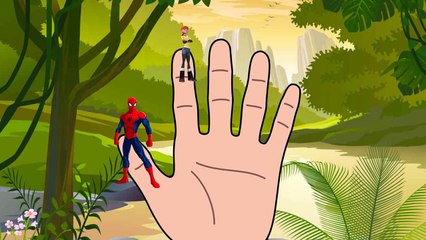 The Amaging Spiderman Finger Family | Nursery rhyme for Kids # Daddy Finger