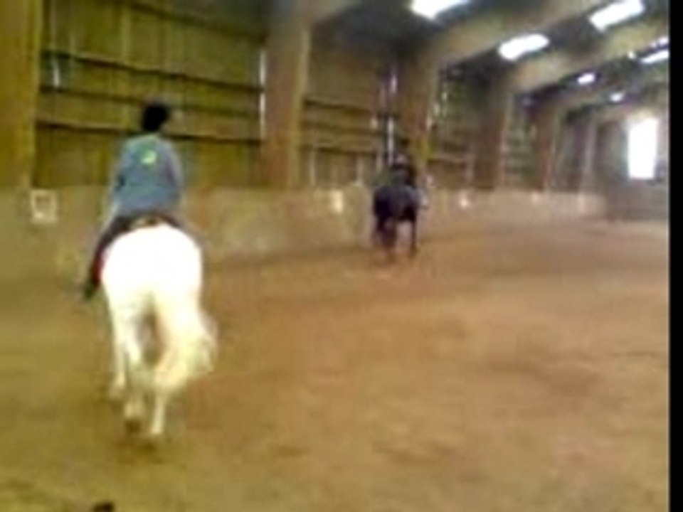 Petit trot