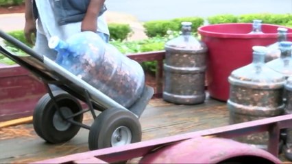 45 ans qu'il récolte ces pièces, aujourd'hui la banque lui offre un petit pactole ! La chance...