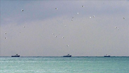 Rus uçağı Karadeniz'e düştü, içinde 93 kişi vardı