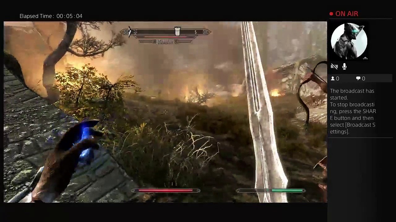 Skyrim (27)