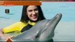 Nia Sharma Very Cute Scene  With dolphins in 'Dubai Visit' Full Masti With Dolphins