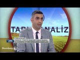 Tarım Analiz | Fındık Piyasası | 23 Kasım 2016