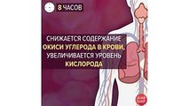 Что произойдёт с организмом, когда вы бросите курить