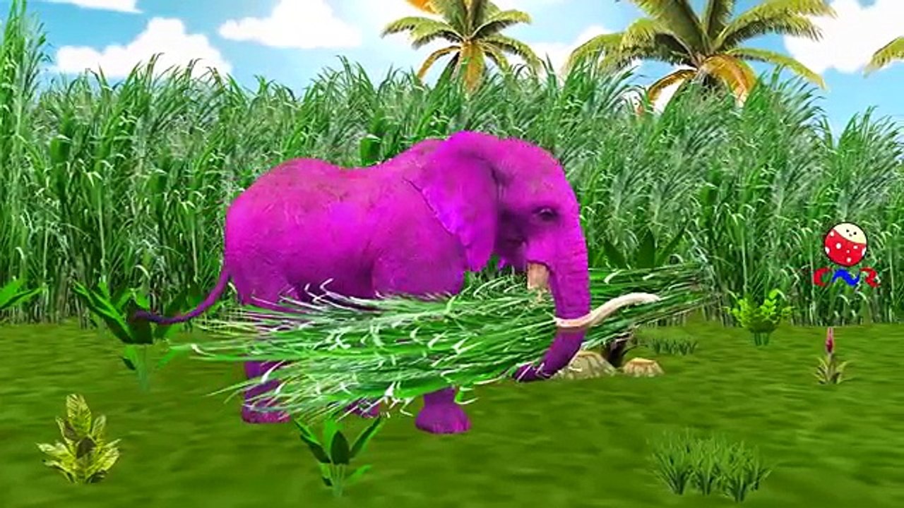 Little Baby Boy Bath Time Playing With Dinosaur | Gorilla Dinosaur Finger Family Rhymes Compilation