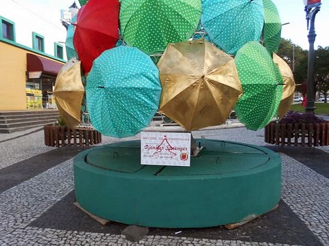 ARVORE DE GUARDA CHUVA EM CURITIBA