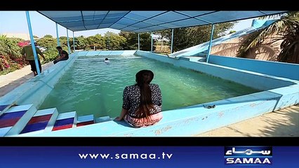 | Meri Kahani Meri Zabani | SAMAA TV | 25 Dec 2016