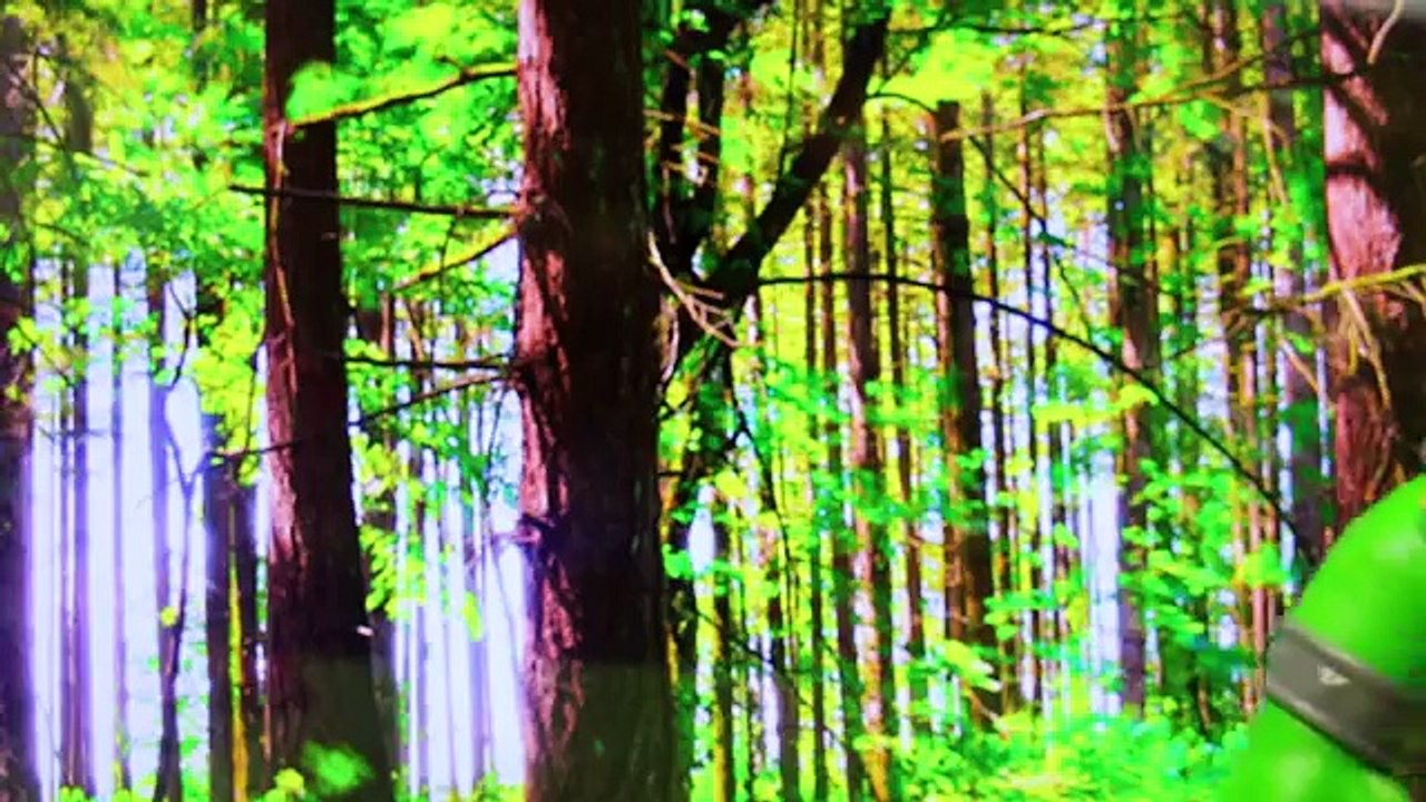 Imaginext Castle Ogre Toy Fights Castle Dragon Toy with Ogre Sounds and Dragon Roars Toy Review