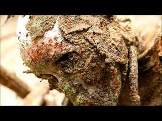 Papua new guinea mummies found