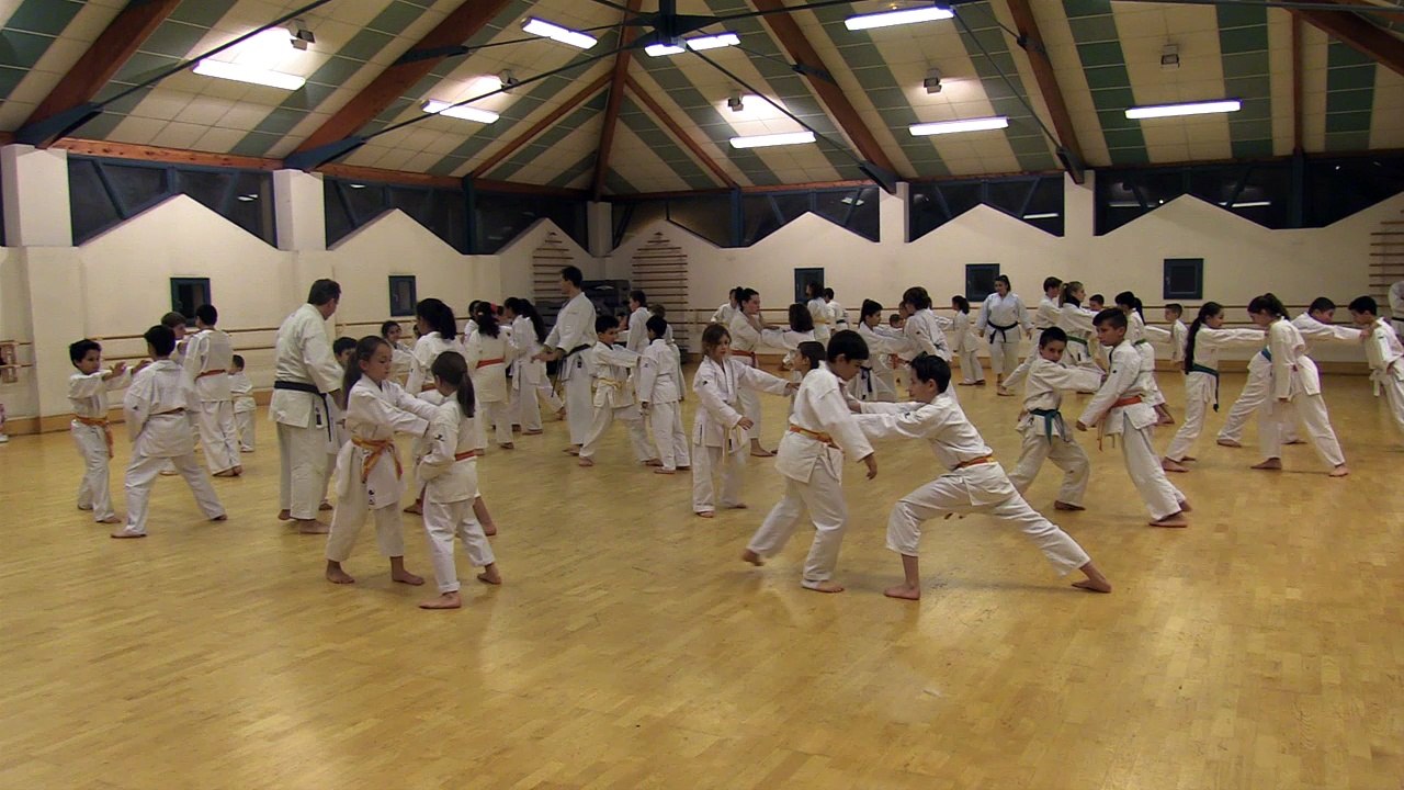Stage de karaté avec Stéphane Mari