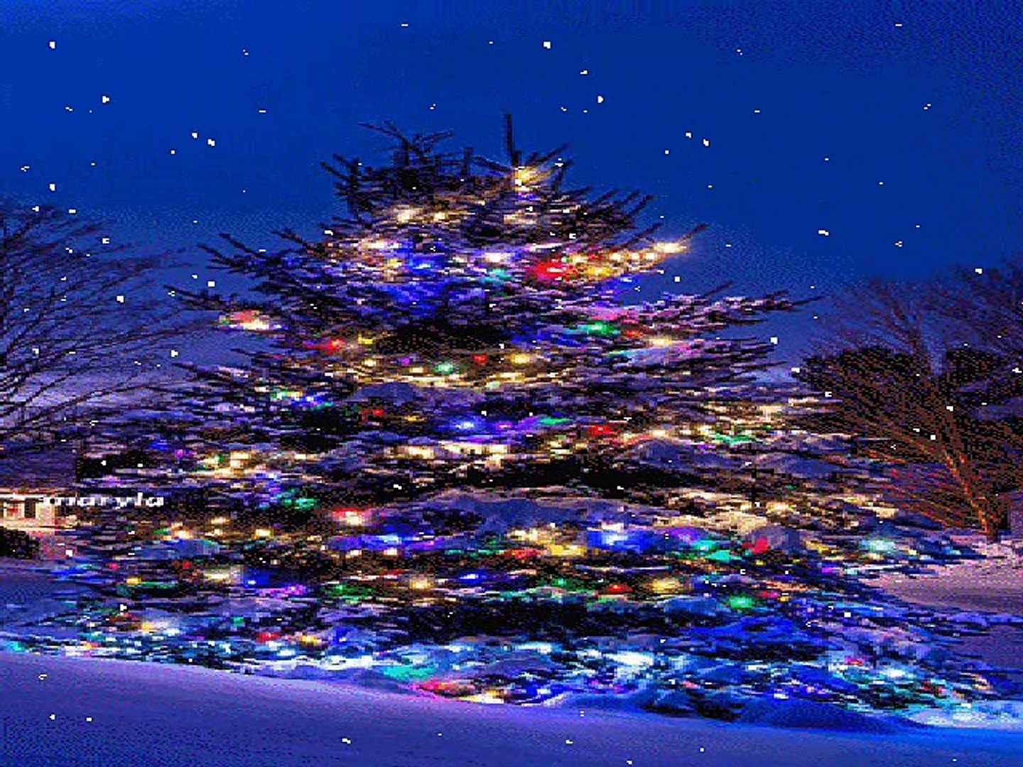 Medley de Noël Gifs animés, image size:1440x1080