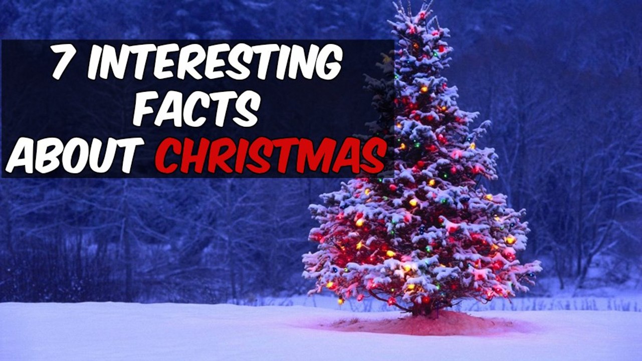 Top 7 Interesting Facts about Christmas You Must Know