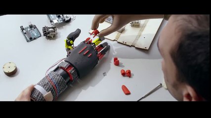 Le best of 2016 des funny cats