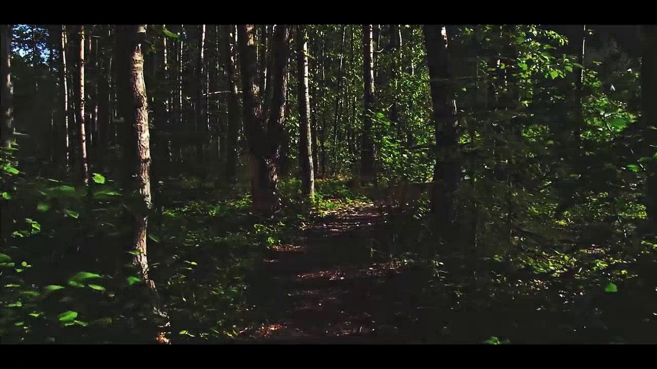 Cinler Hakkında Korkutucu ve En İlginç Bilgiler | Bilgi Şehri