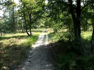 petit bout de chemin ensemble!