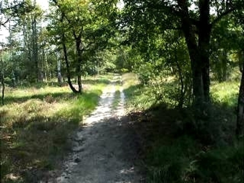 petit bout de chemin ensemble!