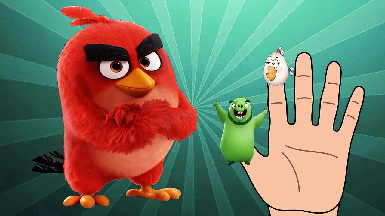 Angry Birds Finger Family Song | finger family nursery rhymes