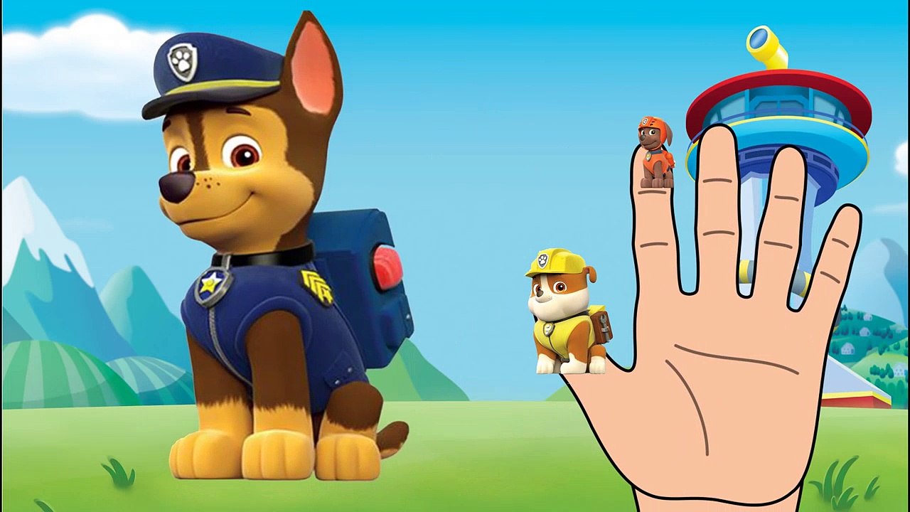 Paw Patrol Finger Family Song - Nursery Rhymes for Kids