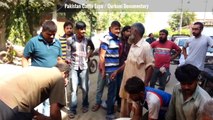 || Angry cow qurbani || 2016 || 2017 || Professional Qasai || Funny || Eid ul adha ||