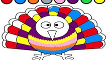 Renkleri Öğreniyorum | Tavuz Kuşunu Rengarenk Boyama ( Oyun Hamuru Evi )