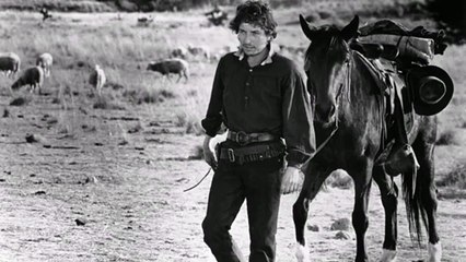 Bob Dylan - Freedom For The Stallion