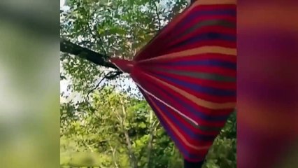 Top Videos Graciosos Divertido y Locos