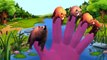 Finger Family Bear Cartoons for Children | Children Nursery Rhymes Daddy Finger Family