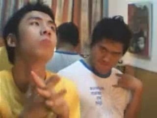 Too Stupid and Silly