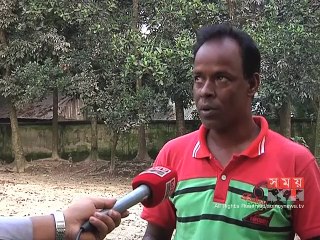 দেশি-বিদেশি অসংখ্যপাখির কলতানে মুখর  ব্রাহ্মণবাড়িয়ার মেদির হাওড়