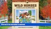 READ ONLINE Creative Haven Wild Horses Stained Glass Coloring Book (Adult Coloring) READ NOW PDF