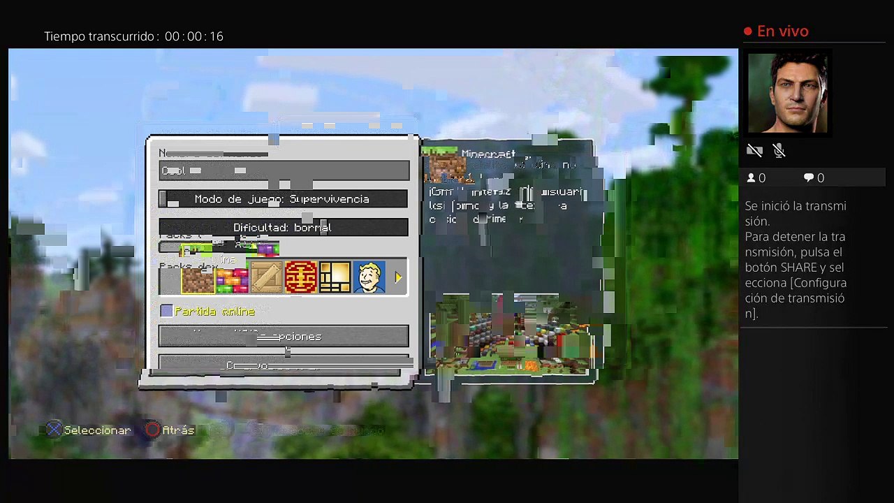 Minecraft (2)