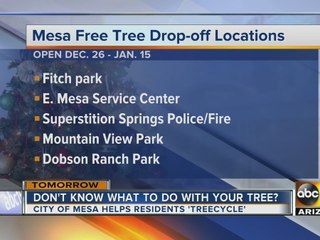 Taking down the tree? Here's where to recycle