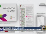 DNA testing kits flying off store shelves