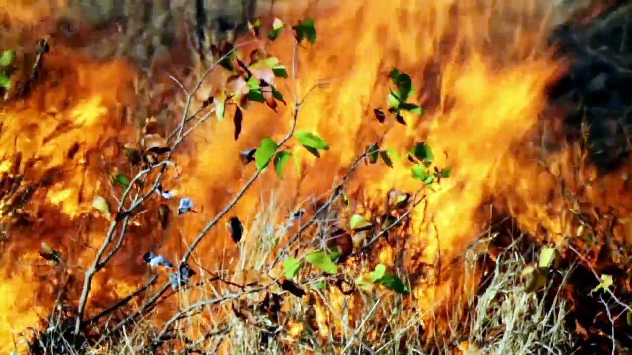 BBC.How.to.Grow.a.Planet.3of3.The.Challenger.HDTV.x264.AAC.MVGroup.org