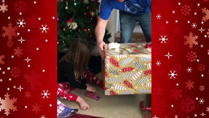 il offre un chat en cadeau pour noël
