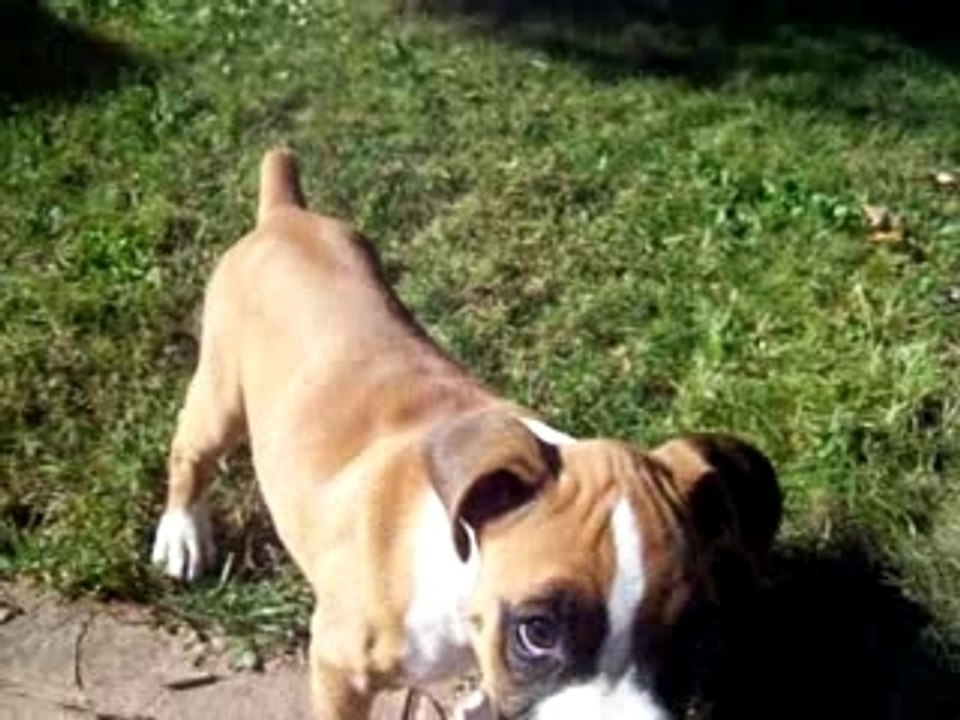 Cayenne en voix
