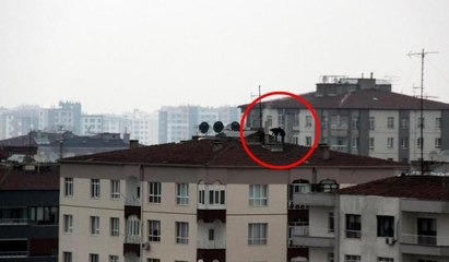 Hayatlarını hiçe sayıp 14. katta güvenliksiz onarım yaptılar