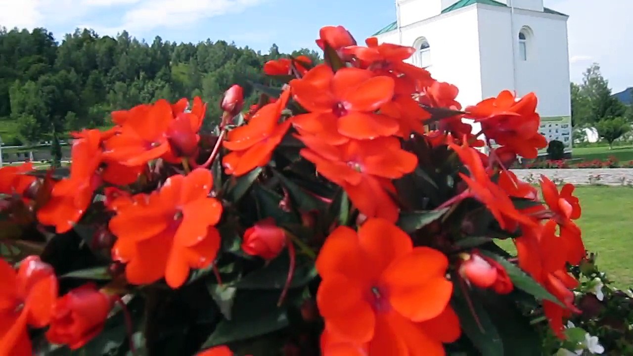 Красивый ландшафтный дизайн