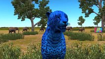 Colors Animals Finger Family Collection | Lion Gorilla Tiger Dinosaurs Finger Family Rhymes Songs