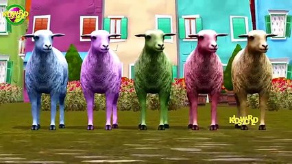 Animals Finger Family#3D Animals Finger Family Songs#Top 10 Animated Cartoon Finger Family Songs