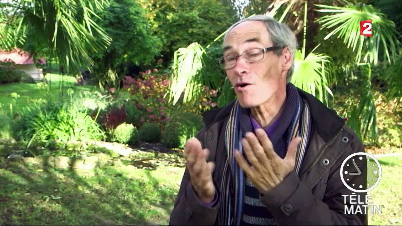 Faune - Aidez les oiseaux à mieux supporter l'hiver