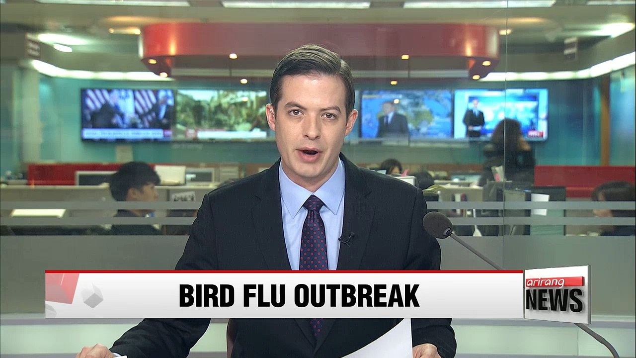 Korea culls over 26 million birds in 40 days as avian influenza epidemic rages on