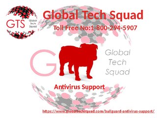 Bullguard Support for USA Toll-Free 1-800-294-5907