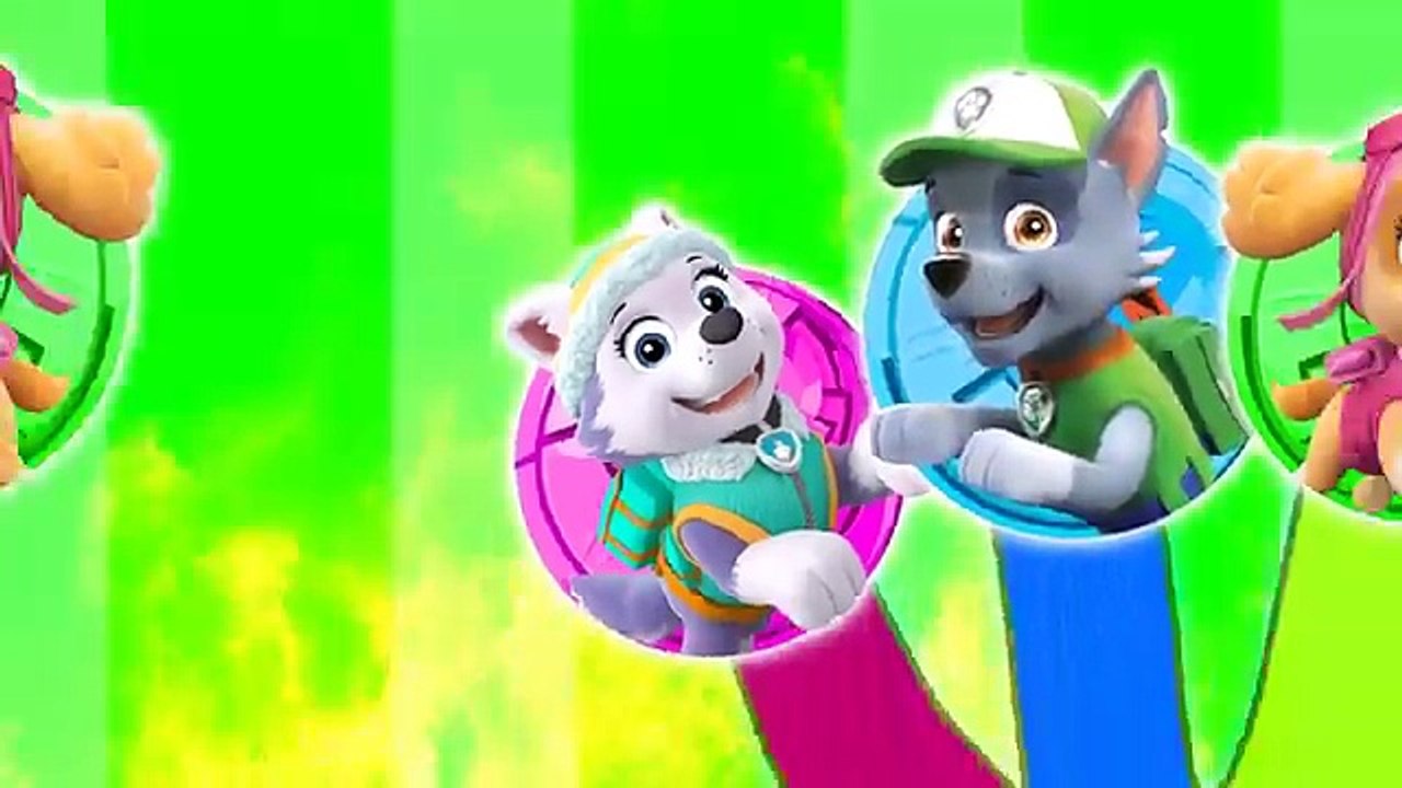Finger Family Lollipop with Paw Patrol. Nursery Rhymes and More Kids Songs by Lollipop Finger Family