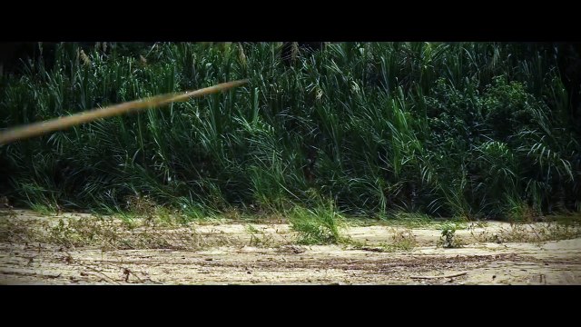 The Lost City of Z Official Trailer Teaser (2017) Charlie Hunnam Movie