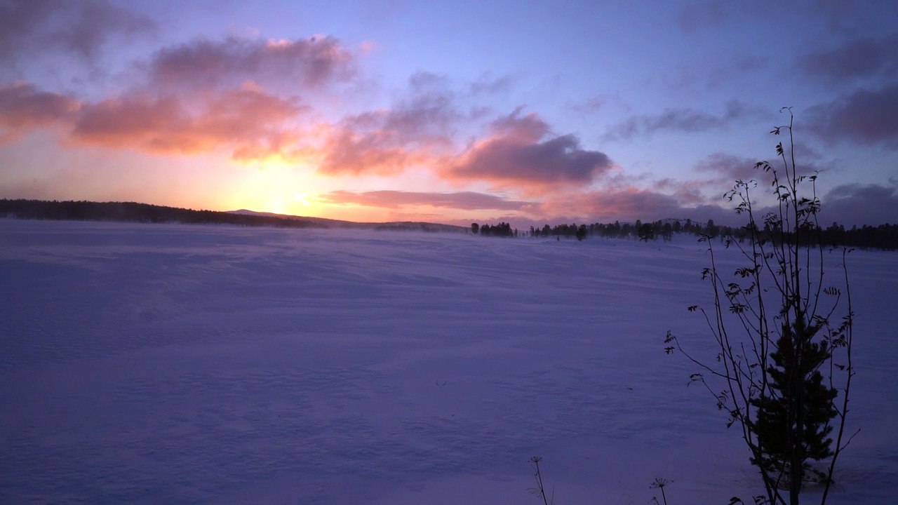 Fototour in der Femundsmarka (Hedmark / Norwegen)