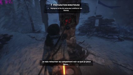 Test - Rise of the Tomb Raider - Sli Inno3D GTX 1070 Twin X2 [WQHD]