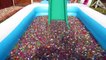 ORBEEZ POOL PARTY - WATER BALLOON BOMB FIGHT | Toys AndMe